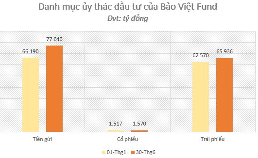 Một DN 19 nhân sự nhận ủy thác gần 2 tỷ USD từ Dai-ichi Life, danh mục đầu tư tạm lãi gần 2.700 tỷ đồng - Ảnh 6.